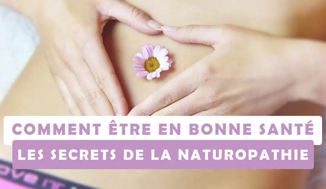 Comment être en bonne santé - les secrets de la naturopathie - Fanny D'Avvocato - Blog nutrition et santé